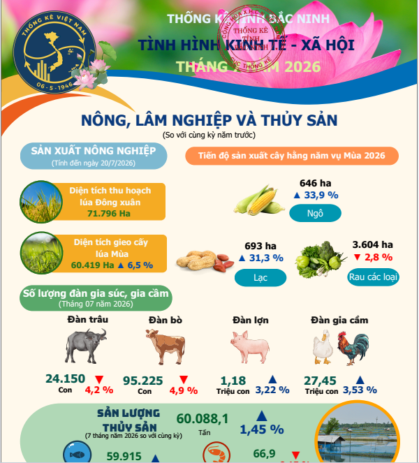 Inforgraphic Tình hình Kinh tế - Xã hội tháng 7 và 7 tháng đầu năm 2026