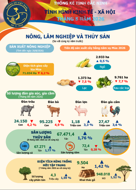 Inforgraphic Tình hình Kinh tế - Xã hội tháng 8 năm 2026